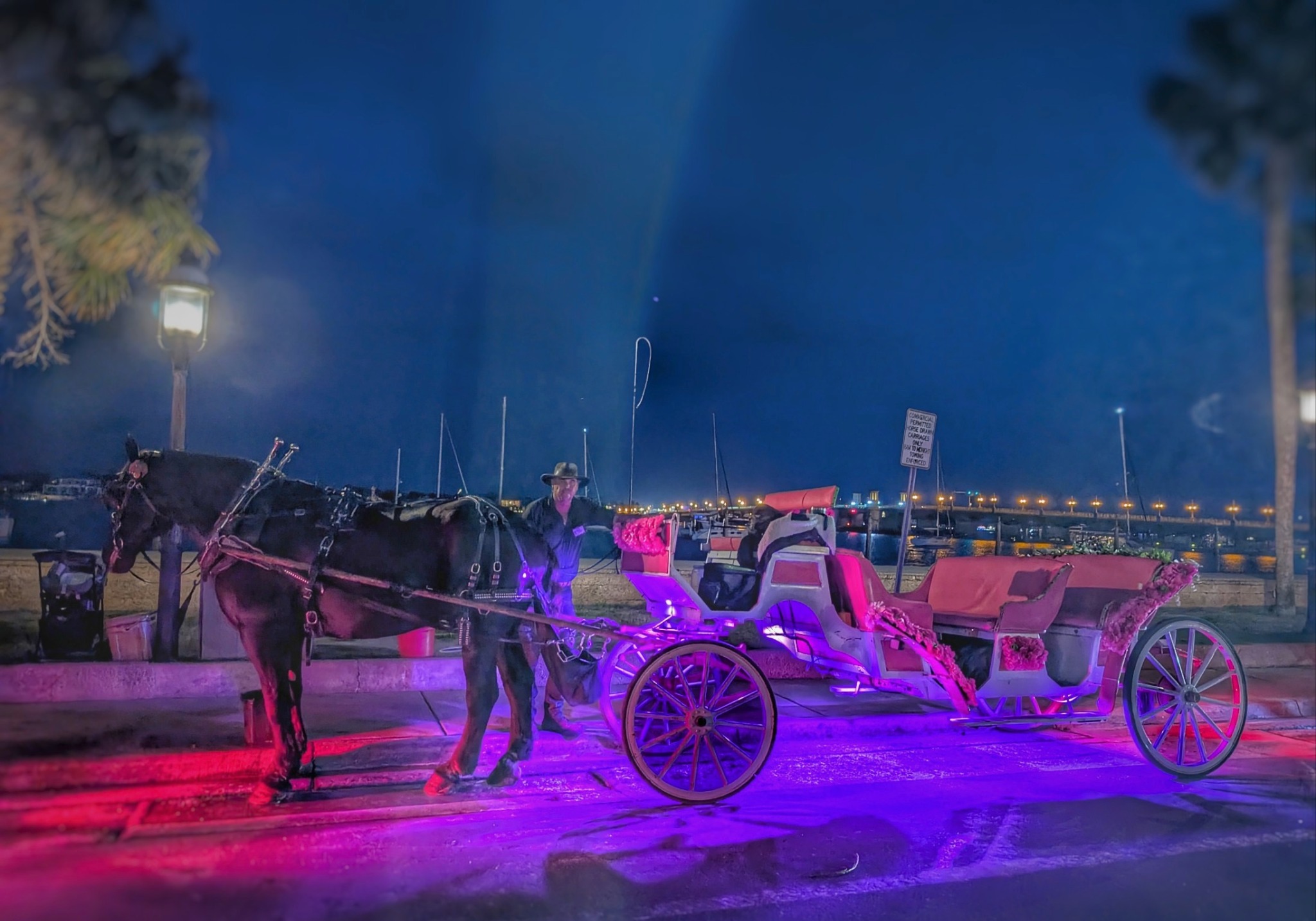 A horse and carriage glowing with purple and pink lights beside the waterfront at night.