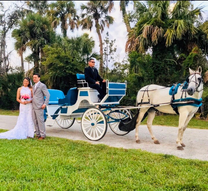 A bride and groom beside a blue and white horse-drawn carriage surrounded by palm trees.