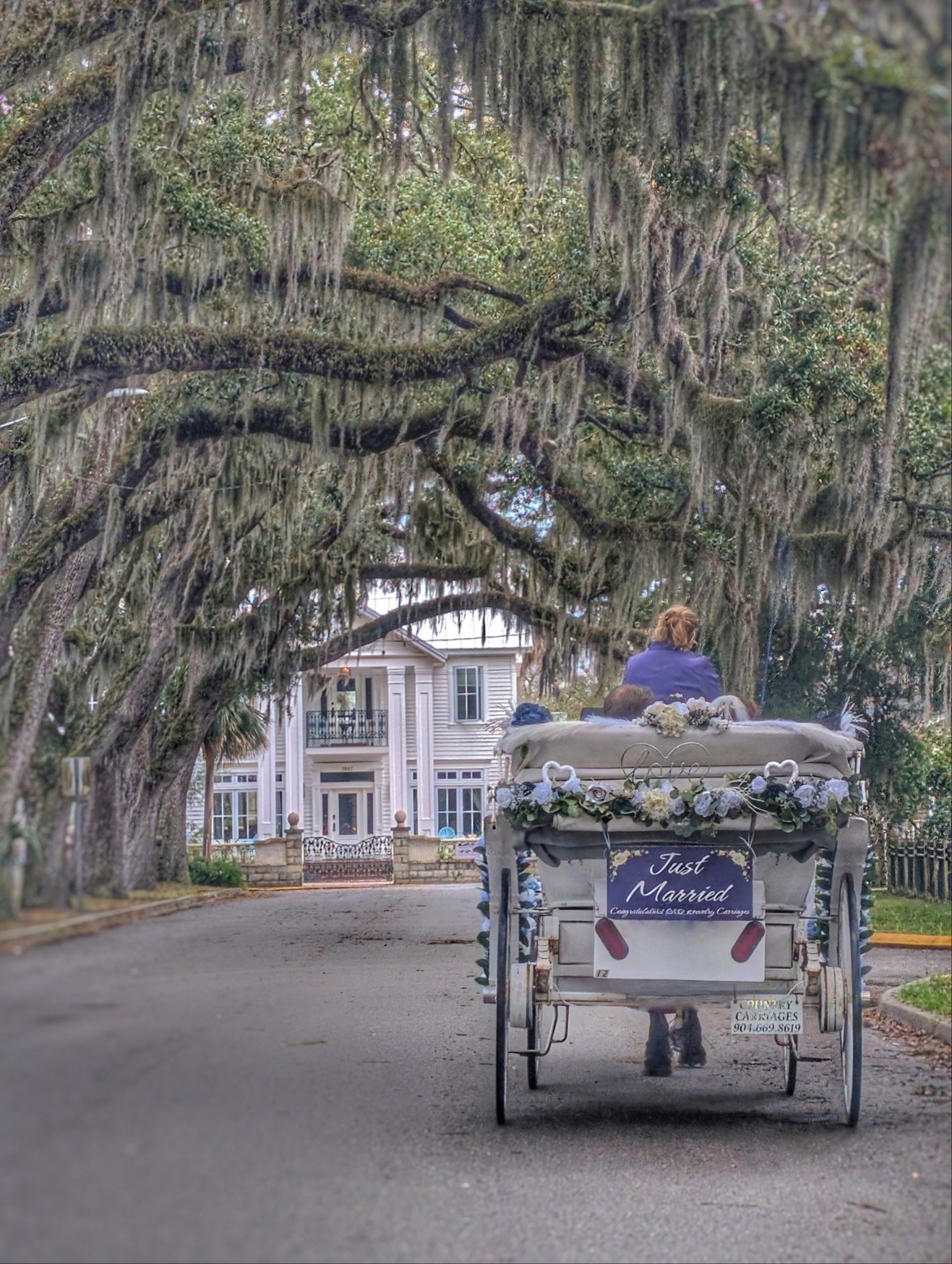 A wedding carriage with a Just Married sign beneath oak trees draped in Spanish moss.